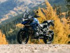 Triumph Tiger 1200GT / GT Pro